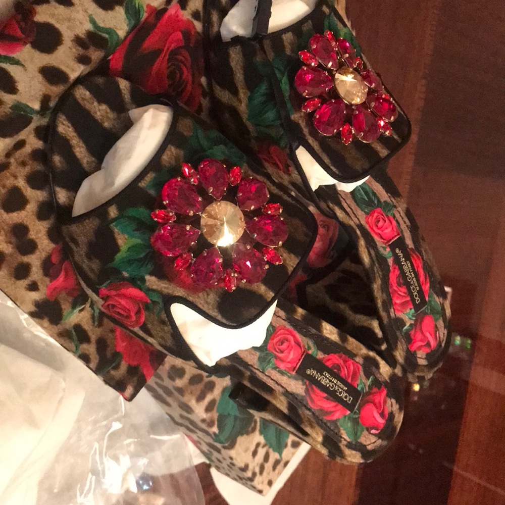 BrandNew!! Dolce and Gabbana